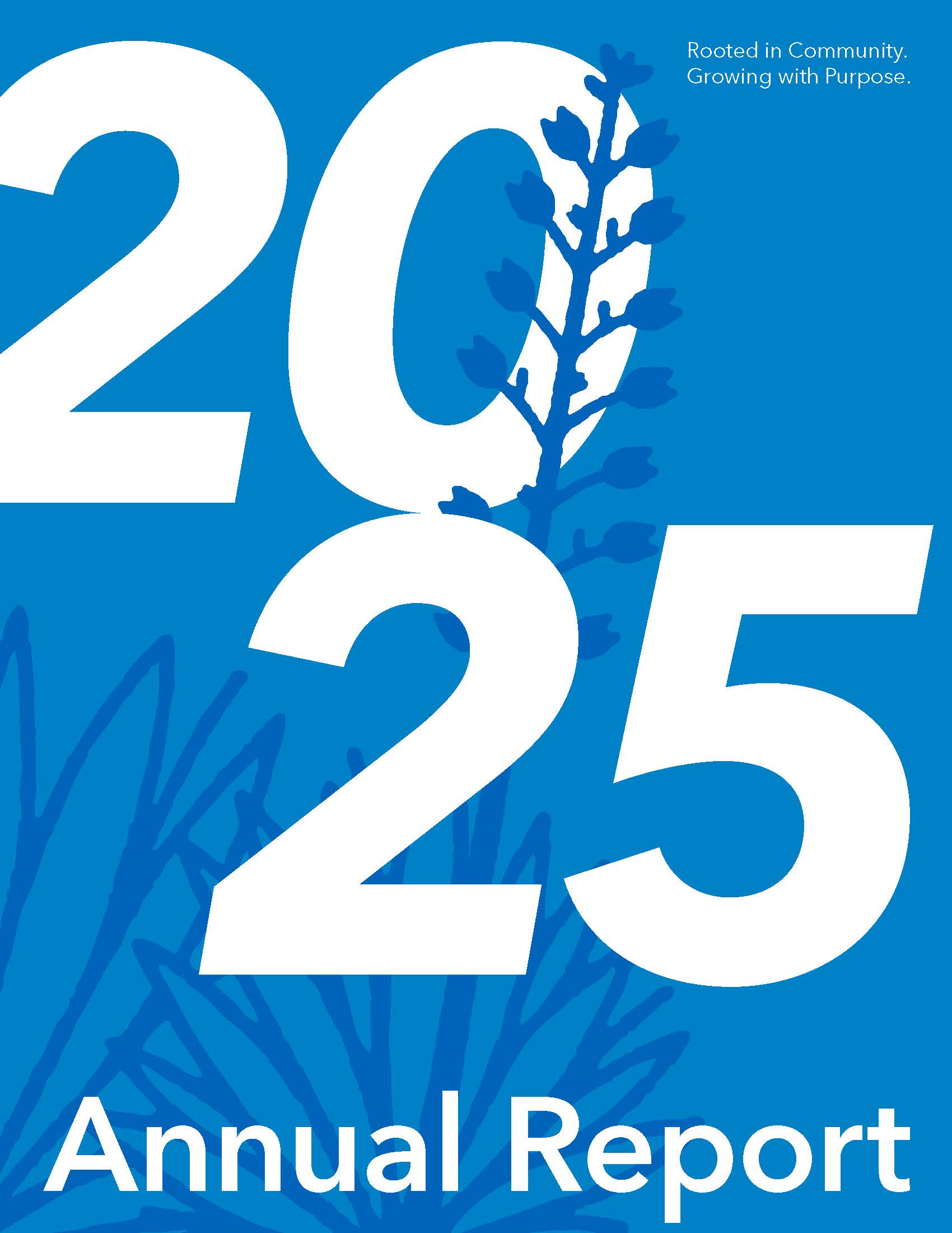 2025 Annual Report